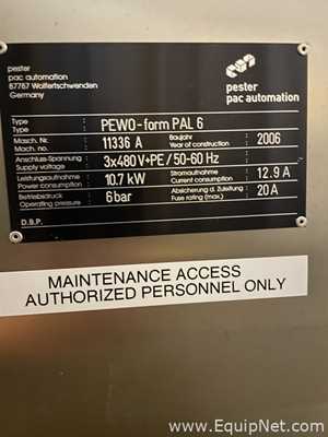 Pester Pac Automation Pewo Form PAL6 Palletizer and Depalletizer