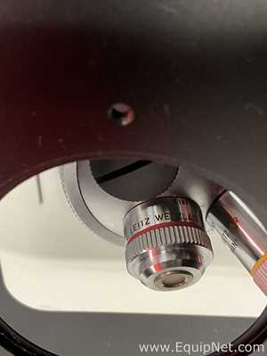 Microscopio Leitz Fluovert FS
