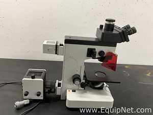 Microscopio Leitz Fluovert FS