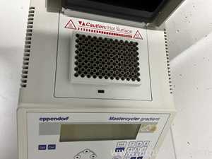 PCR und Thermocycler Eppendorf Mastercycler Gradient
