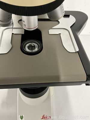 Leica DM1000 Optical Microscope