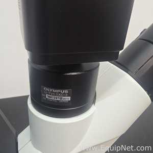 Microscópio Olympus Corporation CKX53SF