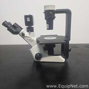 Microscópio Olympus Corporation CKX53SF
