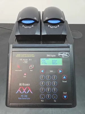 PCR e Termociclador MJ Research PTC-200