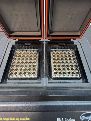 PCR e Termociclador MJ Research PTC-200