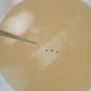 Sistema de Purificación y Destilación de Agua Milli-Q Direct 8