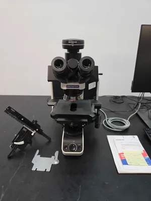 Microscópio Olympus Corporation BX43F