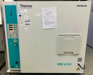 Incubadora Thermo Scientific BBD 6220