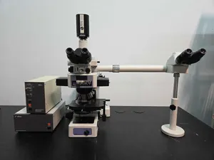 Microscópio Nikon Eclipse E800