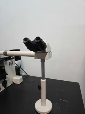 Microscópio Nikon Eclipse E800