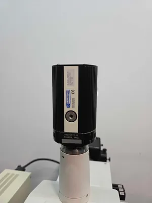 Microscópio Nikon Eclipse E800
