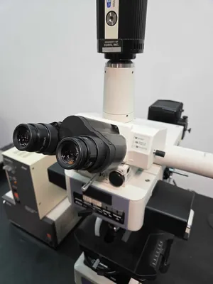 Microscópio Nikon Eclipse E800