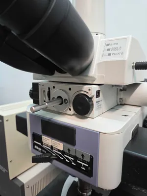 Microscópio Nikon Eclipse E800