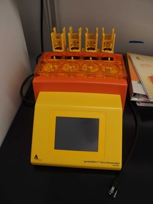 Miltenyi Biotec gentleMACS Octo Dissociator with Heaters