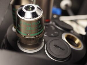 Nikon Eclipse Ti2 Inverted Fluorescence Microscope with CoolLED pE-4000 and Photometrics CoolSNAP DY
