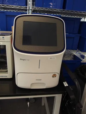Invitrogen iBright CL750 Imaging System