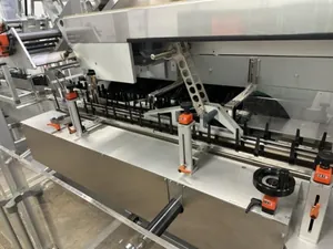 Cariba C300 Horizontal Cartoner