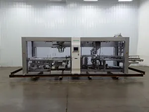 Syntegon Elematic 3001 Case Packer