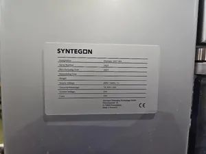 Syntegon Elematic 3001 Case Packer
