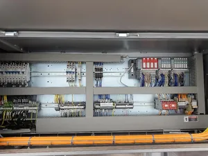 Syntegon Elematic 3001 Case Packer