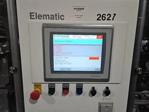 Syntegon Elematic 3001 Case Packer