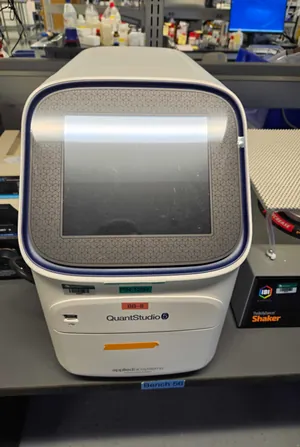 PCR e Termociclador Applied Biosystems QuantStudio 5