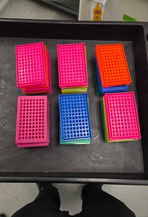 Lot of Assorted Laboratory Tube Racks and Plastic Beakers
