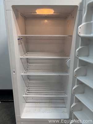 Gefriergerät Fisher Scientific 20LFEEFSA