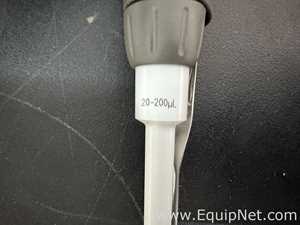 Lote de  Pipeteador VWR Scientific 76335-568 Pipette VWR-2