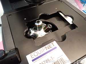 Microscópio AMG EVOS fl