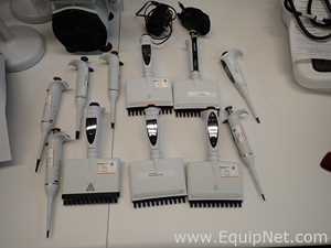lote de   Pipetador Sartorius 