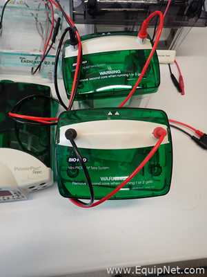 Lote de  Electroforesis Assorted 