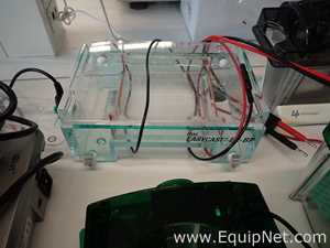 Lote de  Electroforesis Assorted 