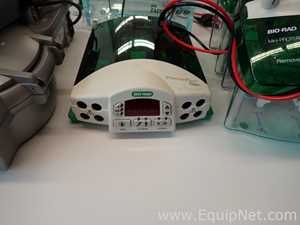Lote de  Electroforesis Assorted 