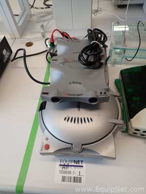 Lote de  Electroforesis Assorted 
