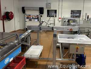 SIG Schweizerische HSL Sachet Filling and Sealing Machine with UHLMANN C2205 Cartoner