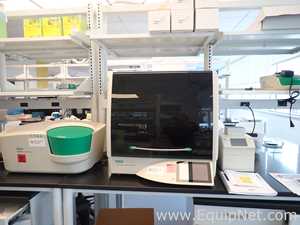 PCR e Termociclador Bio-Rad QX200