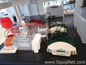 Lot of Bio-Rad PowerPac HC Power Supplies with Mini-PROTEAN Electrophoresis Cells