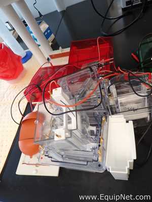 Lot of Bio-Rad PowerPac HC Power Supplies with Mini-PROTEAN Electrophoresis Cells