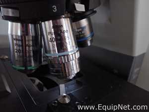 Microscopio Nikon Eclipse 90i
