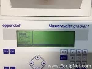 PCR y Termociclador Eppendorf 5331