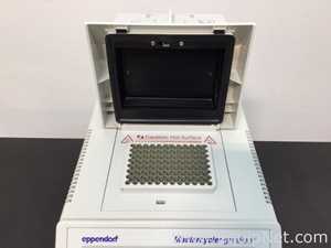 PCR y Termociclador Eppendorf 5331