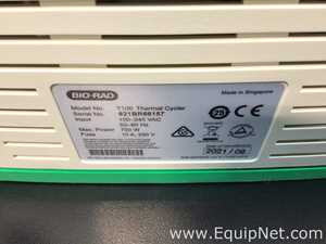 PCR e Termociclador Bio-Rad T100 Thermal Cycler