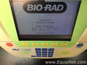 PCR e Termociclador Bio-Rad MyCycler