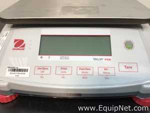 Lot of 3 Ohaus Balances
