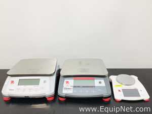 Lot of 3 Ohaus Balances