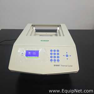 PCR e Termociclador Bio-Rad S1000