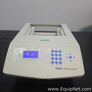 PCR e Termociclador Bio-Rad S1000