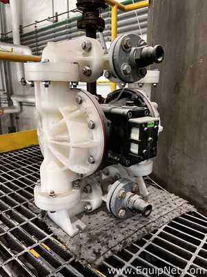 lote de   Bomba de Diafragma Wilden 