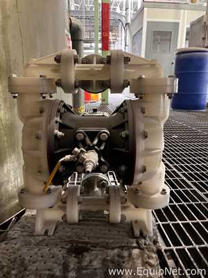 lote de   Bomba de Diafragma Wilden 